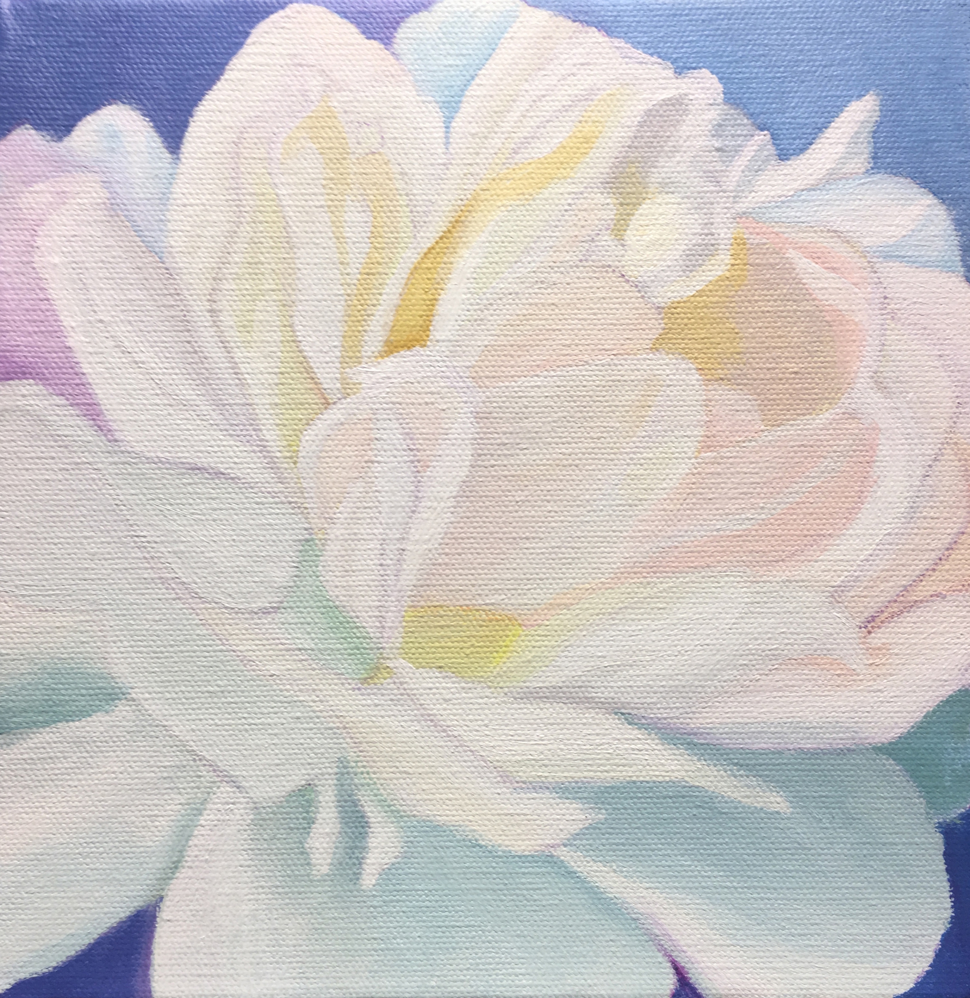 Click here to view Sleepy Rose by M.F.G. BURT