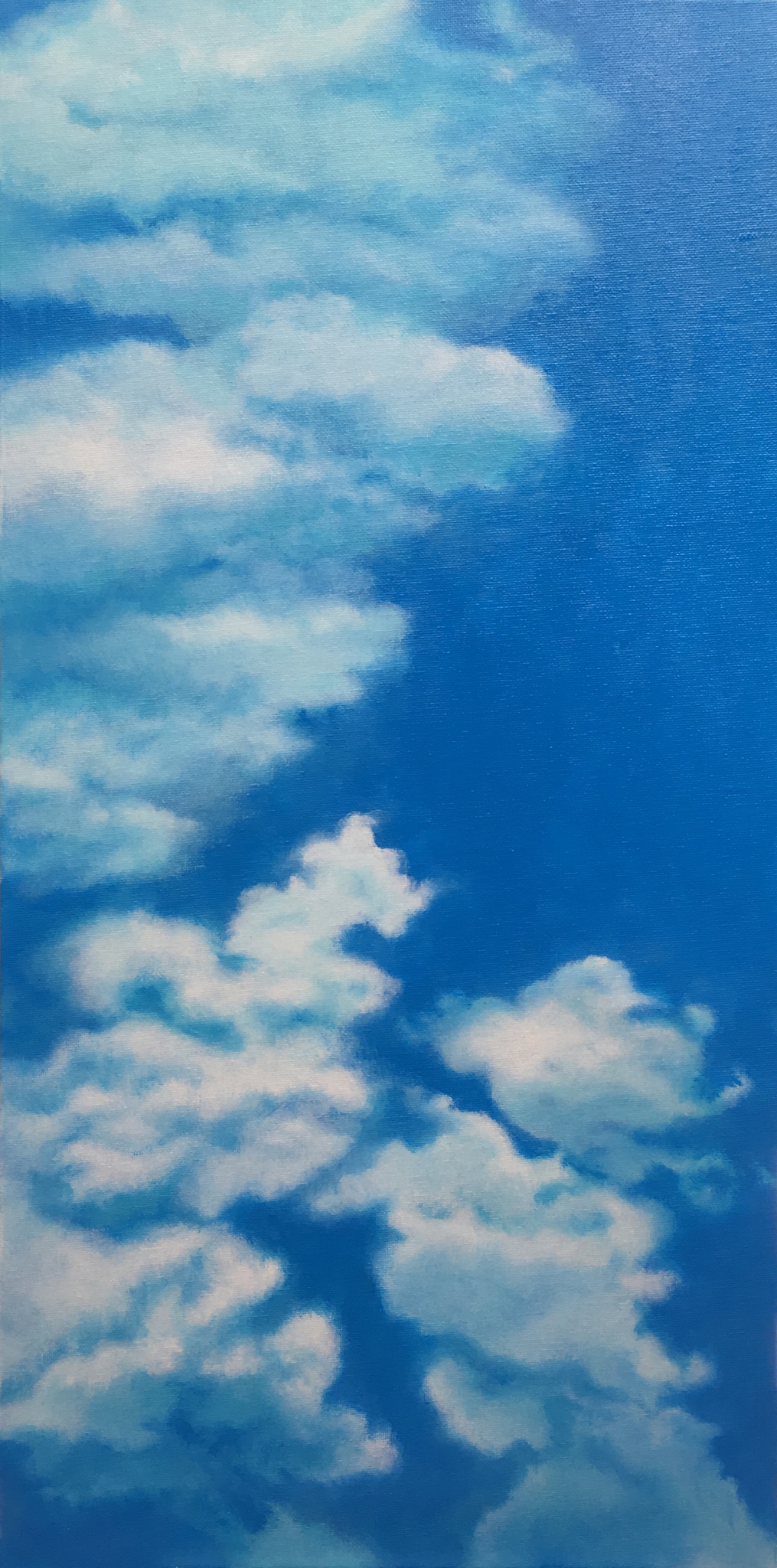 Clouds Over Ocmulgee by M.F.G. BURT