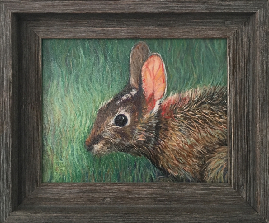 Rawlings' Rabbit by M.F.G. BURT